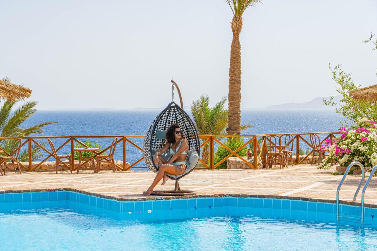 Club Reef Resort & Spa Шарм-еш-Шейх Екстер'єр фото